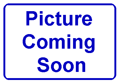Mustang script black s/s plate half high